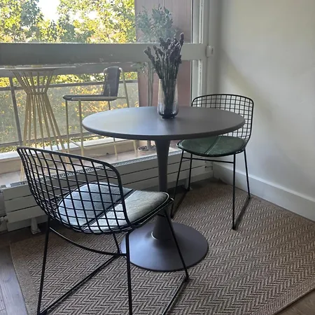 Bright Flat With Terrace & Vue On Canal St Martin Apartment Paris